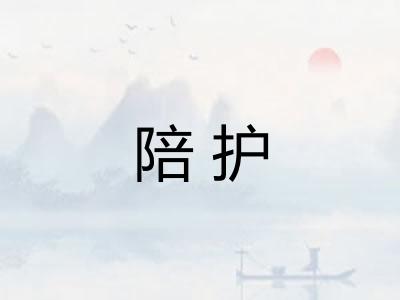 陪护