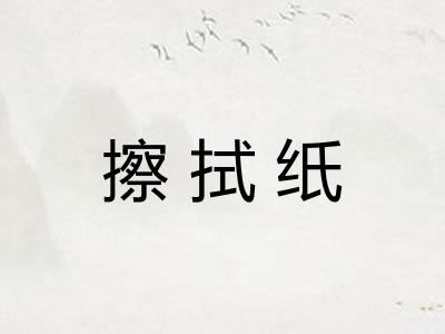 擦拭纸