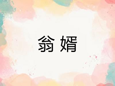 翁婿