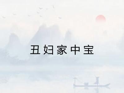 丑妇家中宝