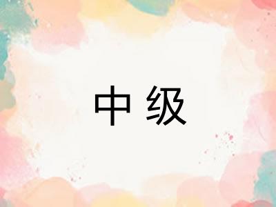 中级