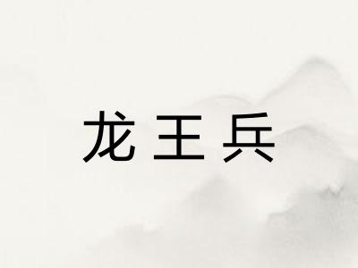 龙王兵