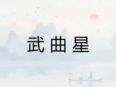 武曲星