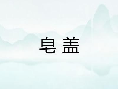 皂盖