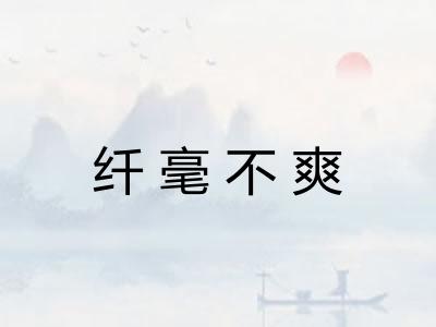 纤毫不爽