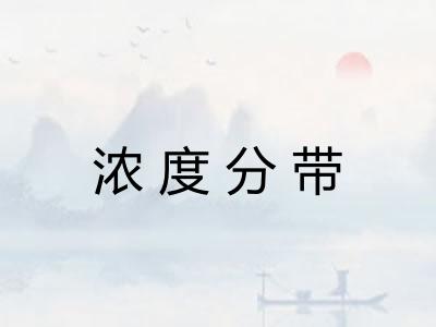 浓度分带