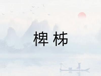 椑柹