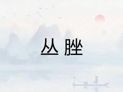 丛脞