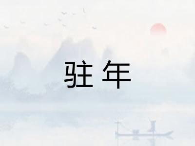 驻年