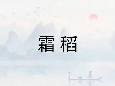 霜稻