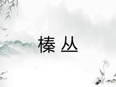 榛丛