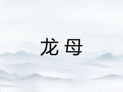 龙母