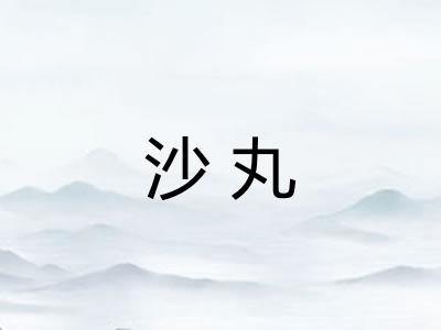 沙丸