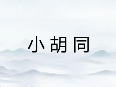 小胡同