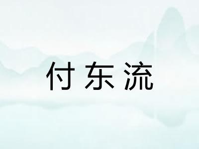 付东流