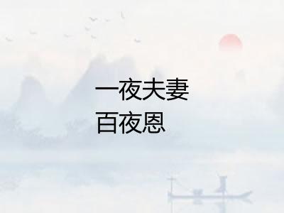 一夜夫妻百夜恩