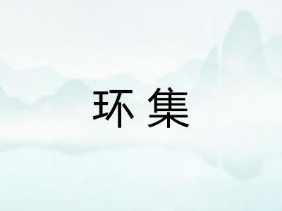 环集