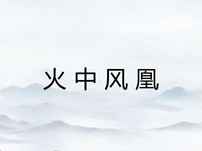 火中风凰