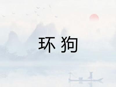 环狗