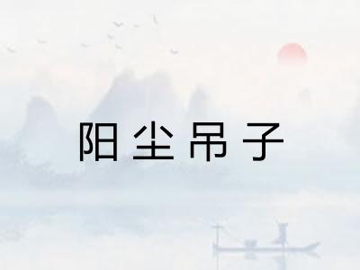 阳尘吊子