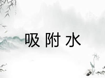 吸附水