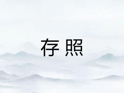 存照