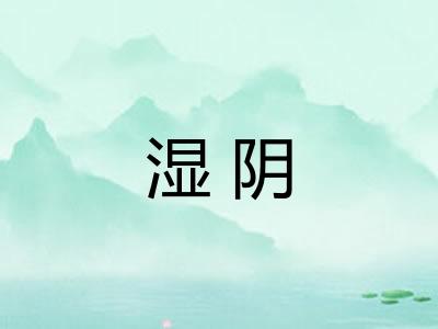 湿阴