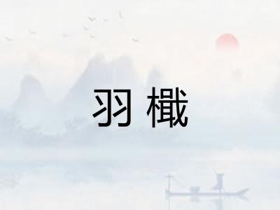 羽檝