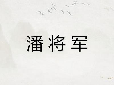 潘将军