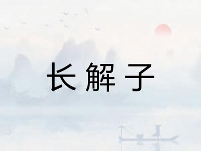 长解子