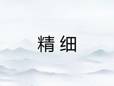 精细