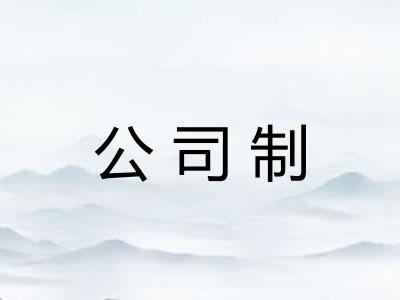 公司制