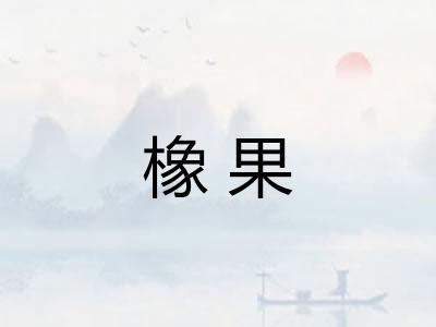 橡果