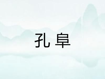 孔阜