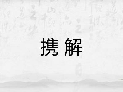 携解