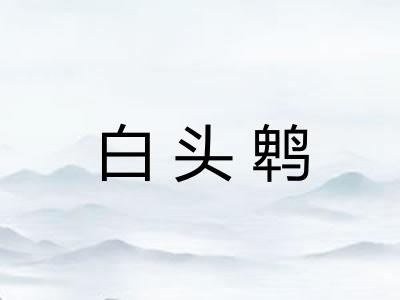 白头鹎