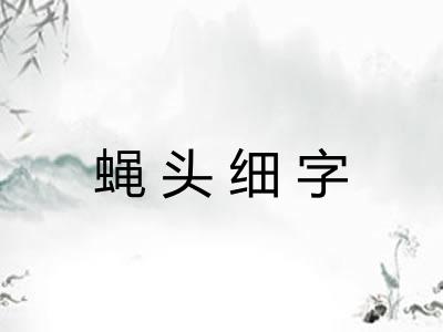 蝇头细字