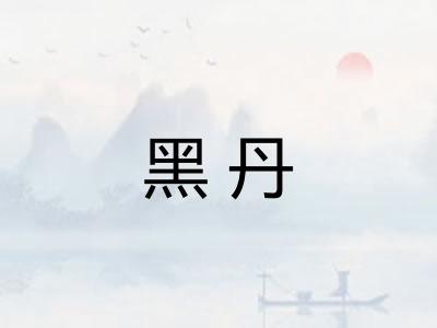 黑丹