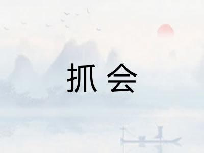 抓会