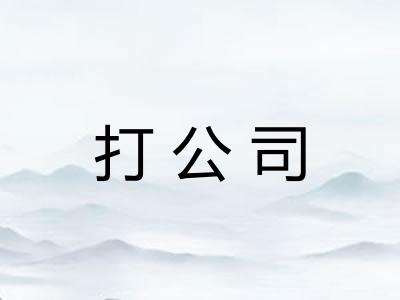 打公司