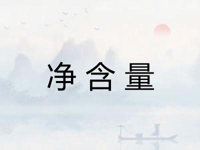 净含量