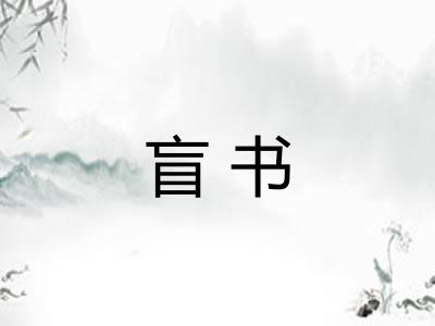 盲书