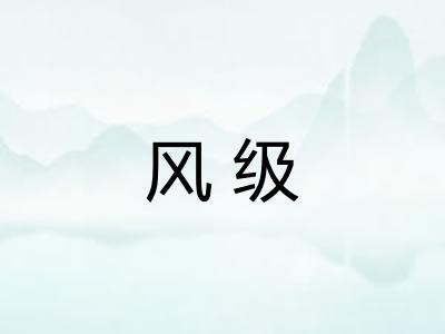 风级