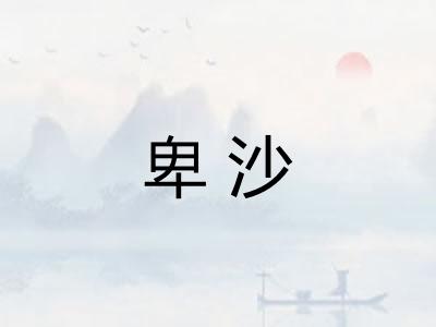 卑沙