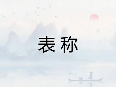 表称