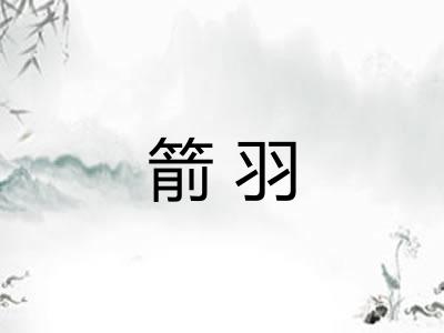 箭羽