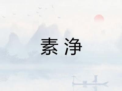 素浄