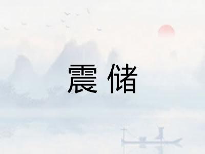 震储