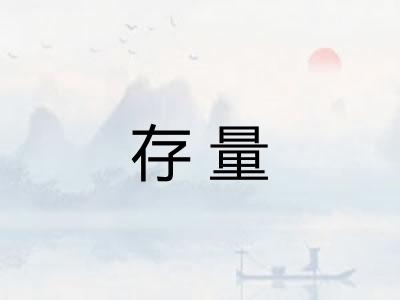 存量