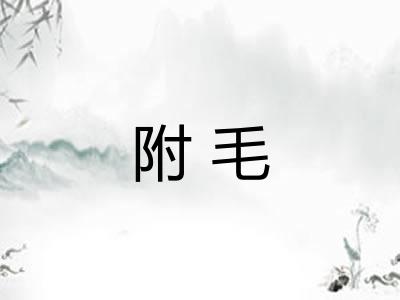 附毛